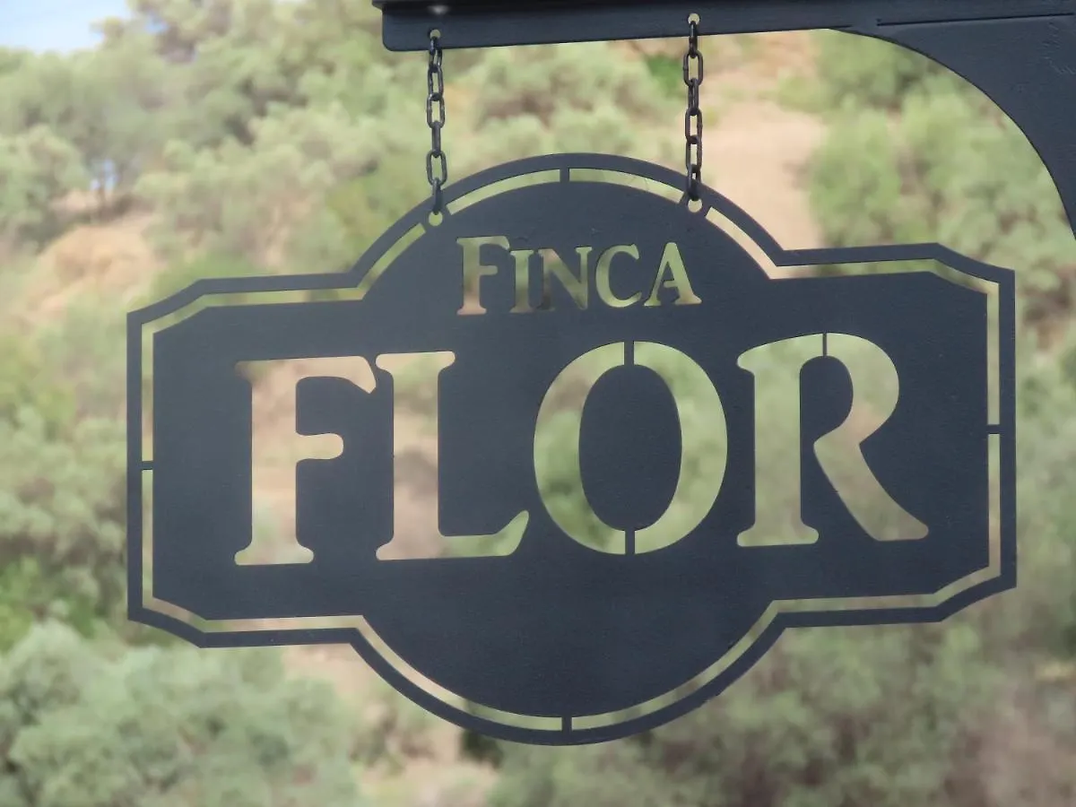 Finca Flor Canillas de Albaida Spain
