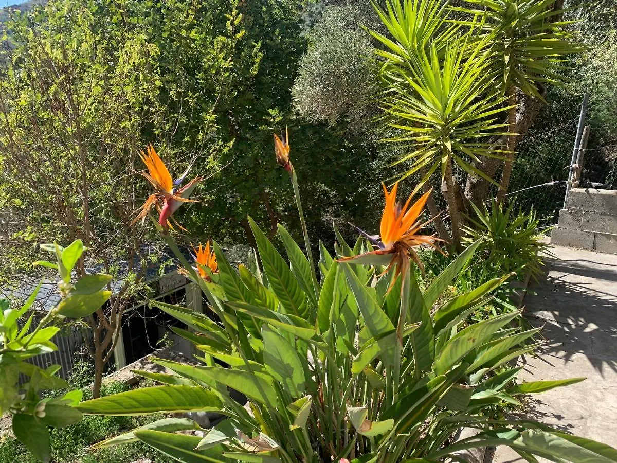 Finca Flor Canillas de Albaida
