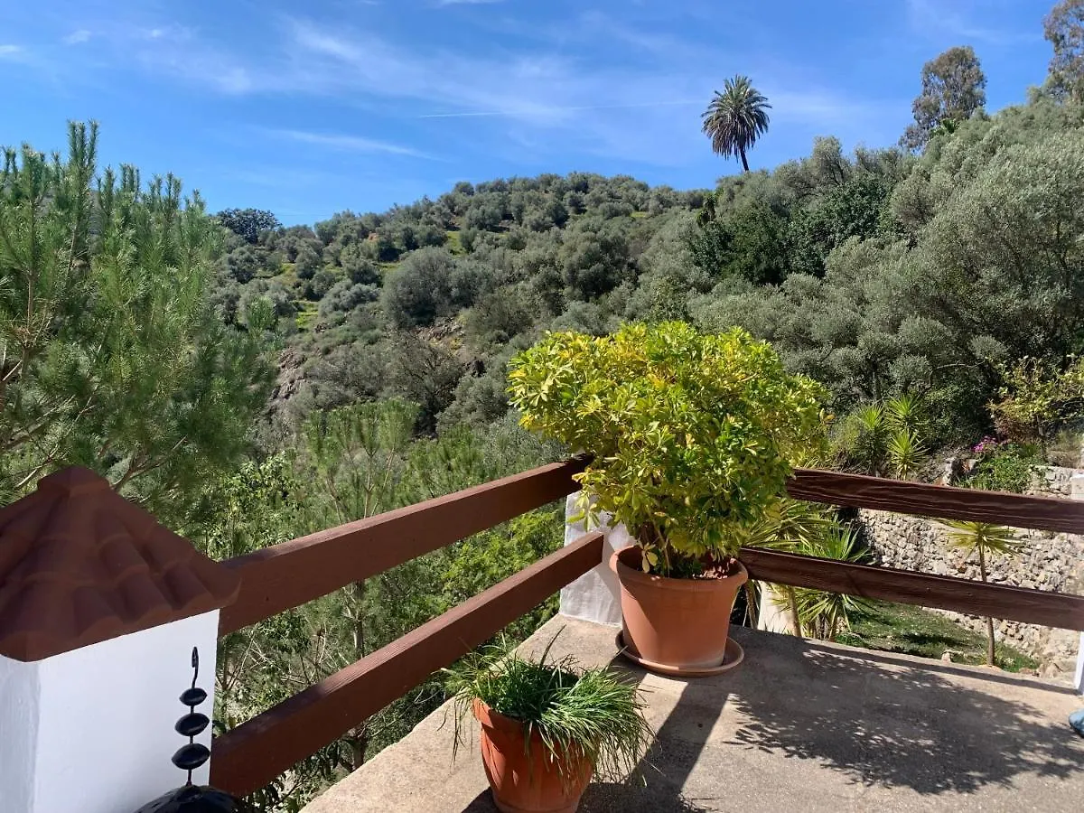 Bed & Breakfast Finca Flor Canillas de Albaida