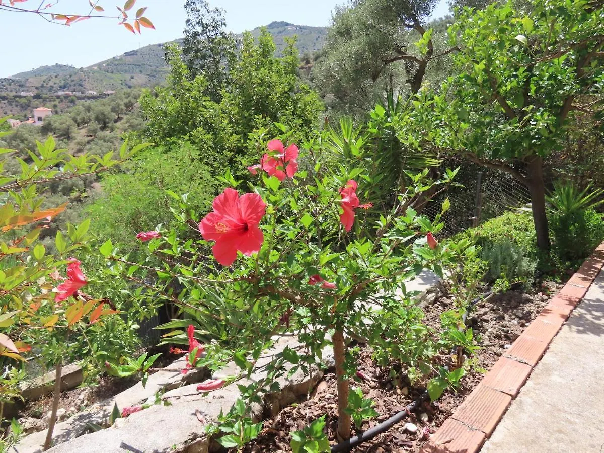 Bed & Breakfast Finca Flor Canillas de Albaida