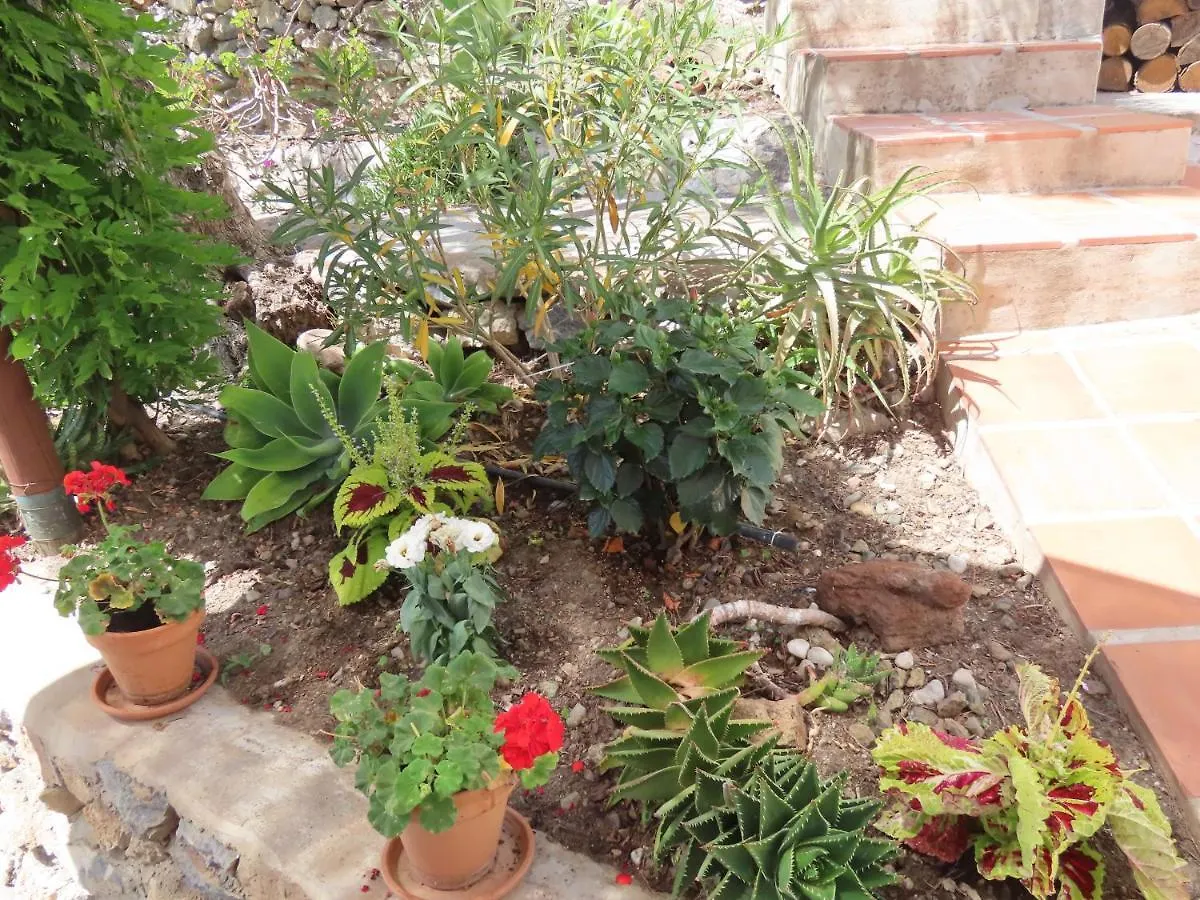 Finca Flor Canillas de Albaida